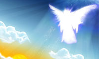Allegiance to guardianship